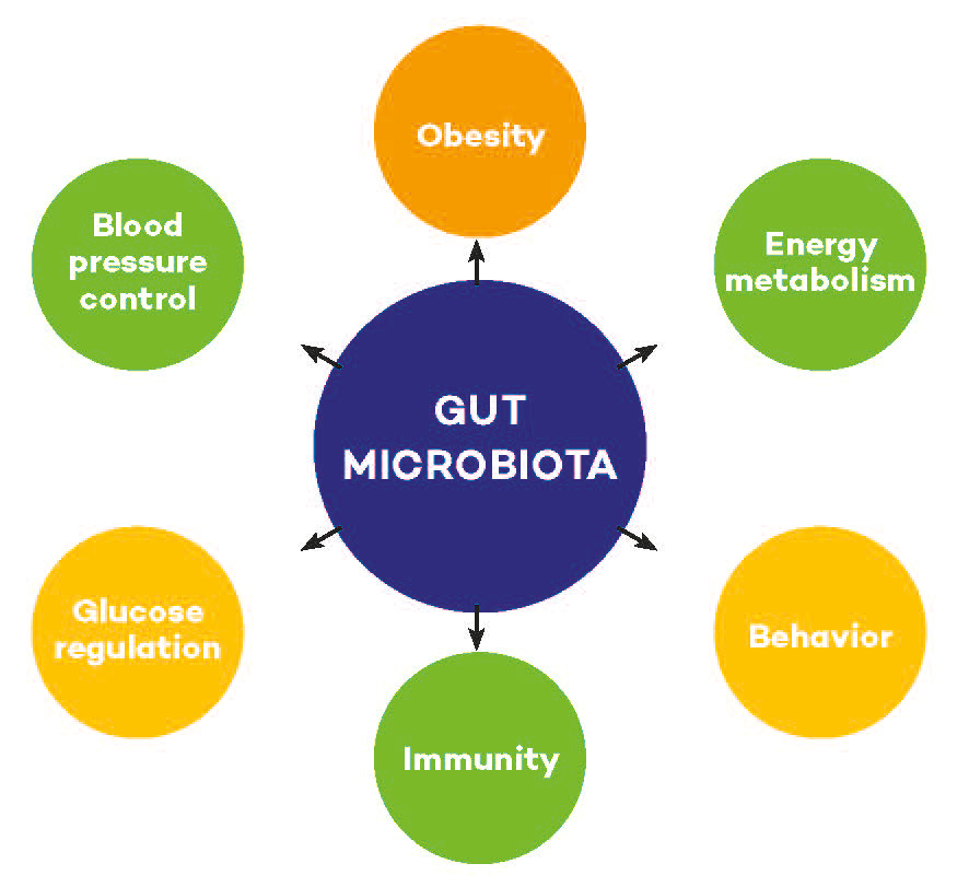 Gut microbiota have been shown to influence numerous health aspects